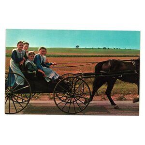 Amish Country Horse Buggy Postcard Vintage 1962 Girls Field Scene Lancaster PA